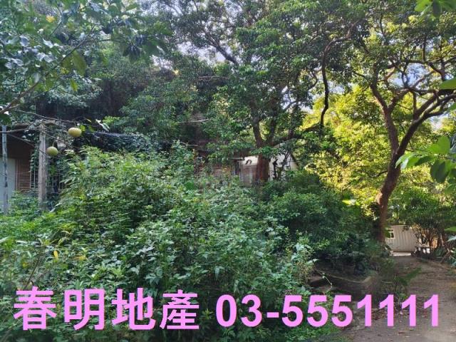新埔農地-12