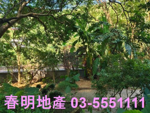 新埔農地-1