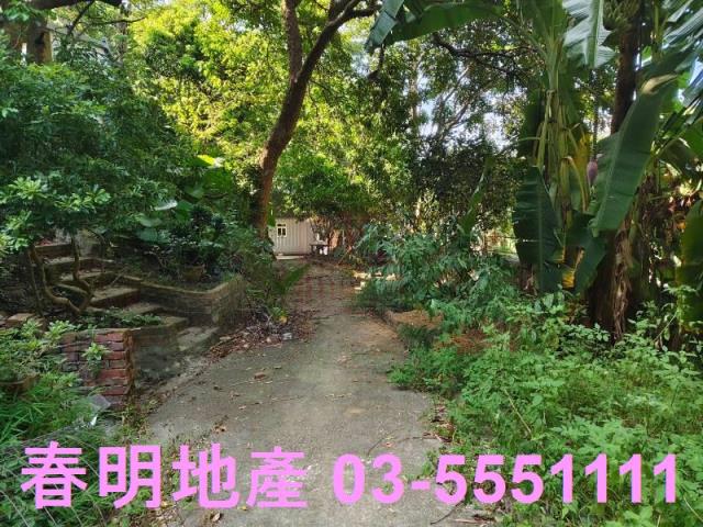 新埔農地-5