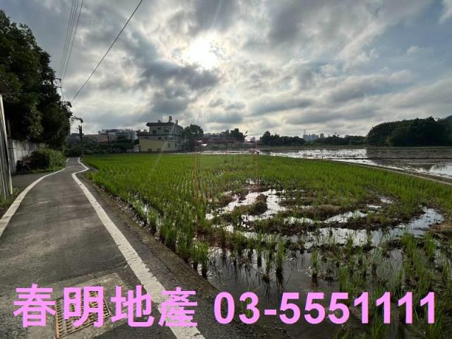 竹北農地-6