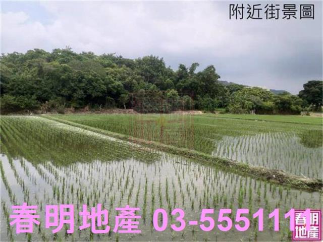 竹北農地-7