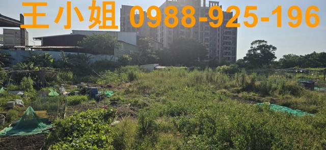蘆竹農地-2