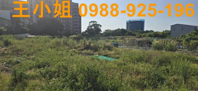 蘆竹農地-3
