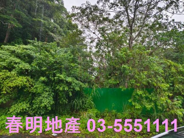 竹東林地-11