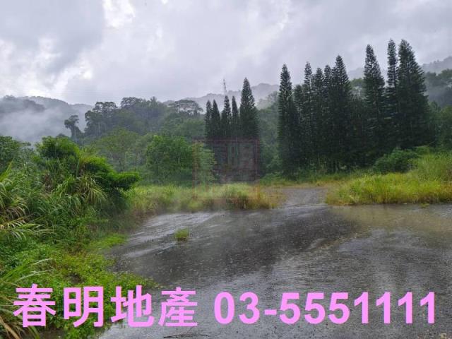 竹東林地-1