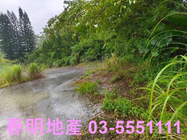 竹東林地-2