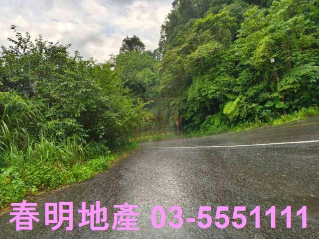 竹東林地-3