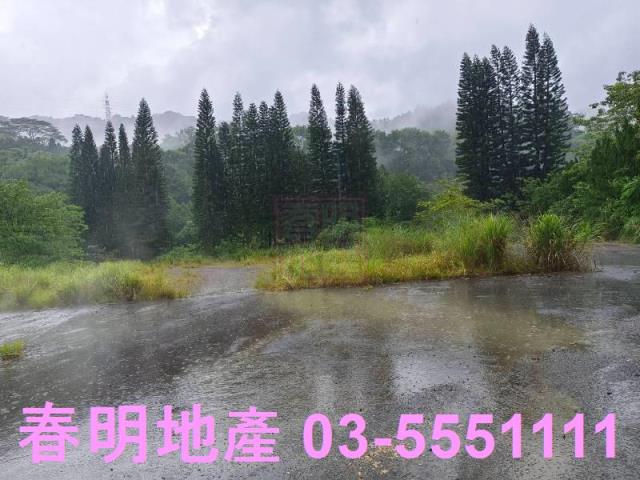 竹東林地-5