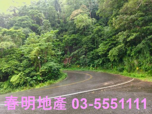竹東林地-6
