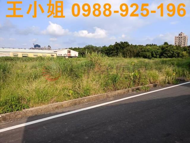 蘆竹農地-2