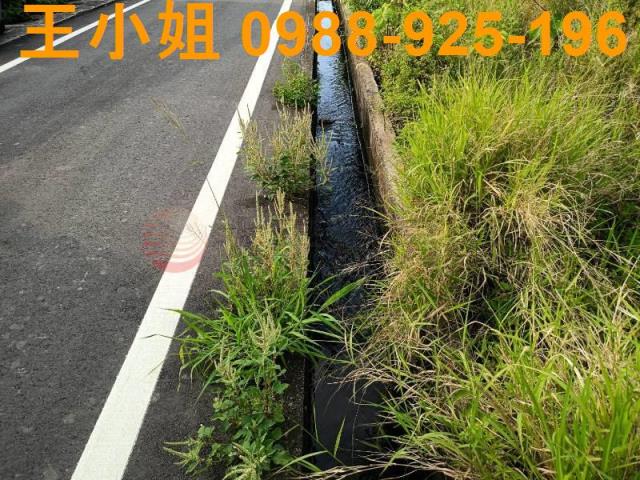 蘆竹農地-5