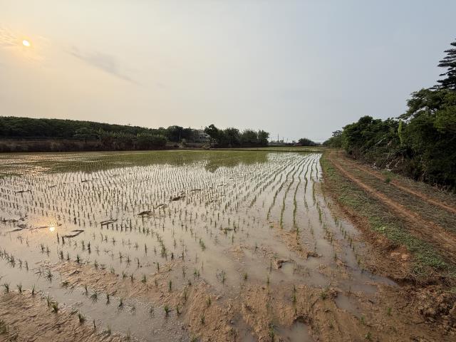 中壢農地-1