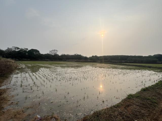 中壢農地-4