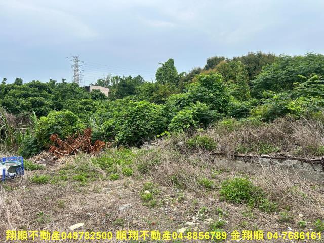 彰化建地-11