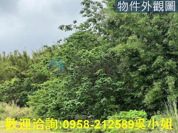 新竹農地-10