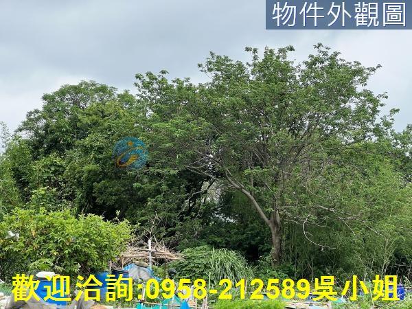 新竹農地-9