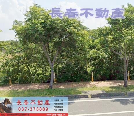 苗栗苗栗市農地-1