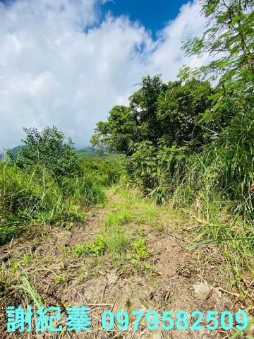 長濱農地-8