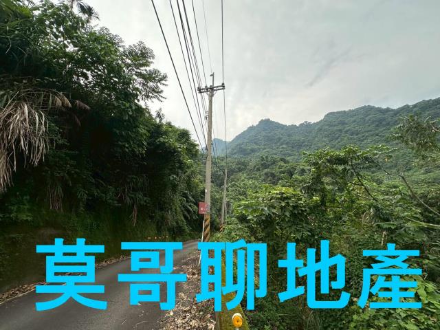 太平山坡地-12