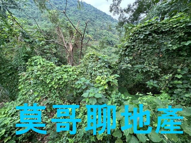太平山坡地-13
