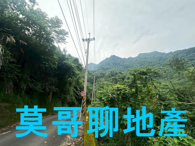 太平山坡地-14