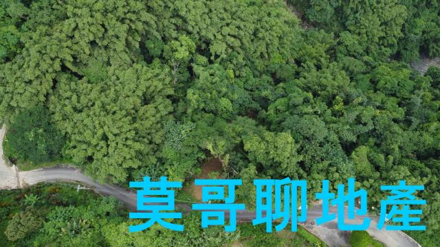 太平山坡地-2