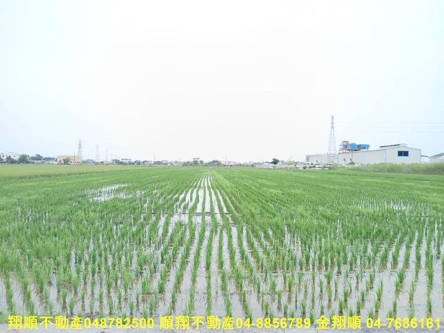 花壇農地-1