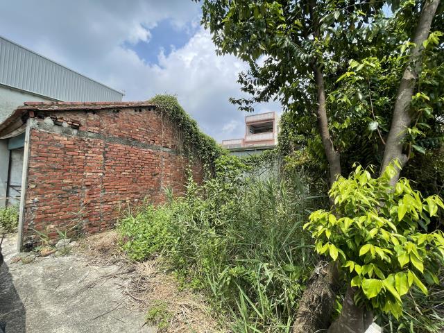 燕巢建地-1