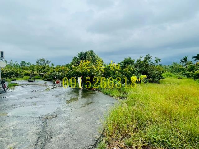 水上農地-3