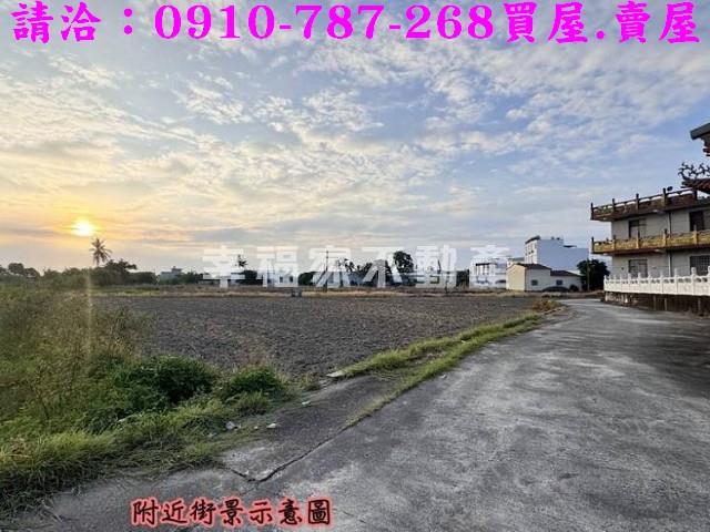 台南仁德農地-2