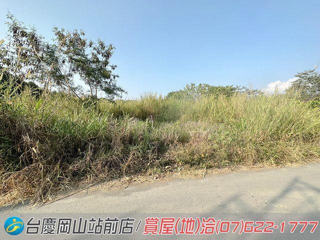 屏東高樹農地-15