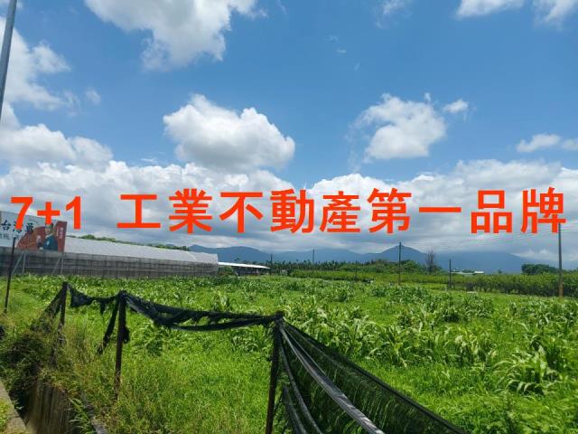 屏東鹽埔農地-5