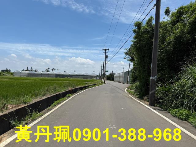 桃園觀音農地-6