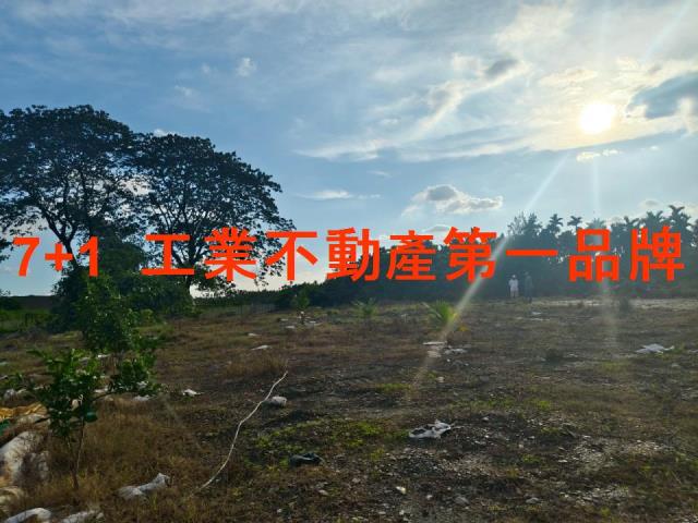 屏東高樹農地-2