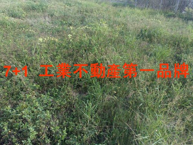 高雄大寮農地-4