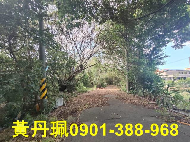 桃園中壢農地-2