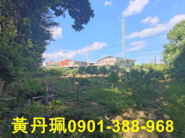 桃園中壢農地-5