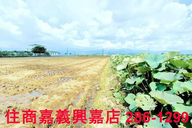 台南白河農地-11