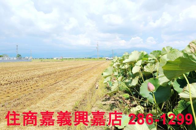 台南白河農地-12