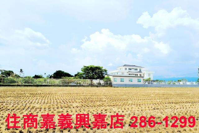 台南白河農地-8