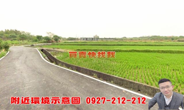 新豐農地-6