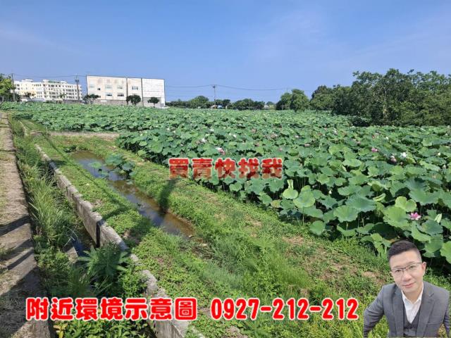 觀音農地-3