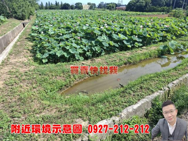 觀音農地-1
