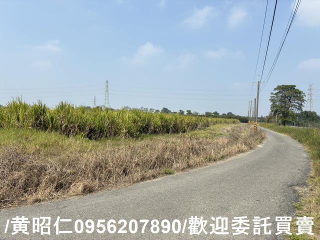 新市農地-8