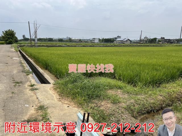 新屋農地-4