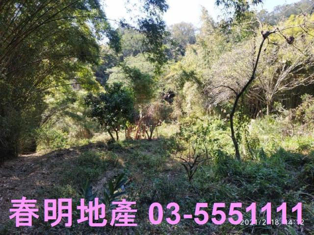 芎林農地-10