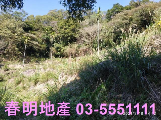 芎林農地-11