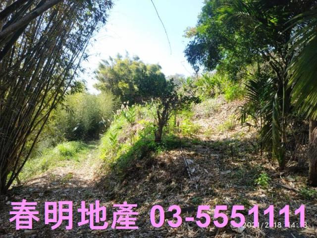 芎林農地-12