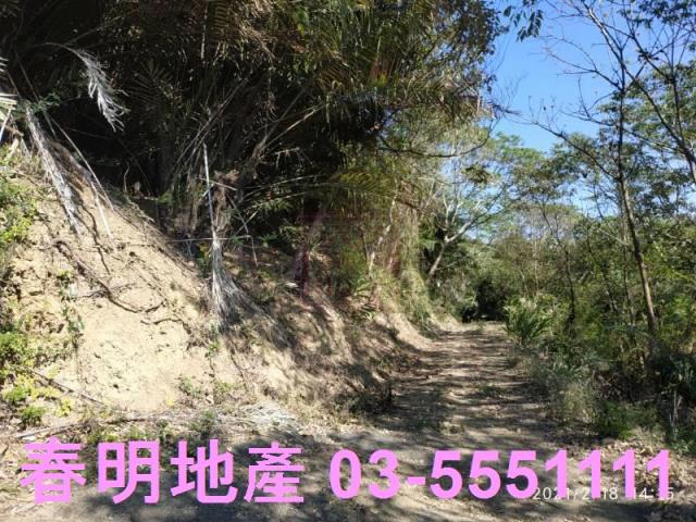 芎林農地-4
