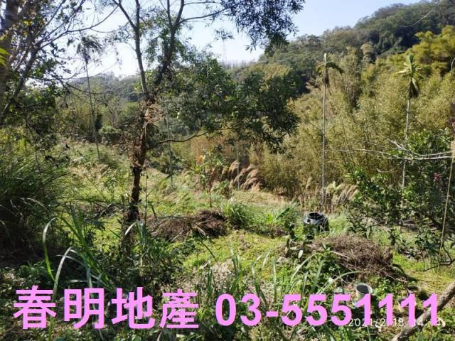 芎林農地-6